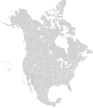 Сьерра-Хуарес және Сан-Педро Мартир қарағайлы-емен ормандары map.svg