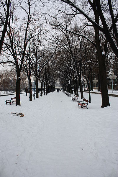 File:Skopski Gradski Park (52).jpg