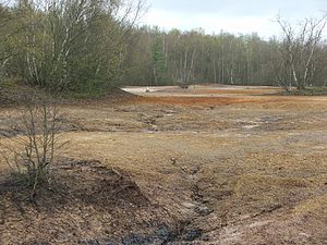 The landscape of the Soos Mineral Bog