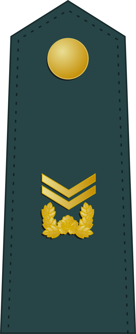 Tập_tin:SouthKorea-Army-OR-6.svg