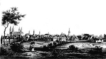 Speyer in 1855 seen from the north Speyer Poppel 1855.jpeg