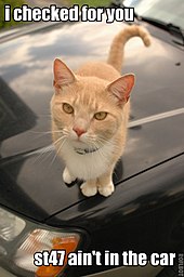 A ginger cat sitting on the bonnet of an old black car. The caption reads, "I checked for you/st47 ain't in the car."