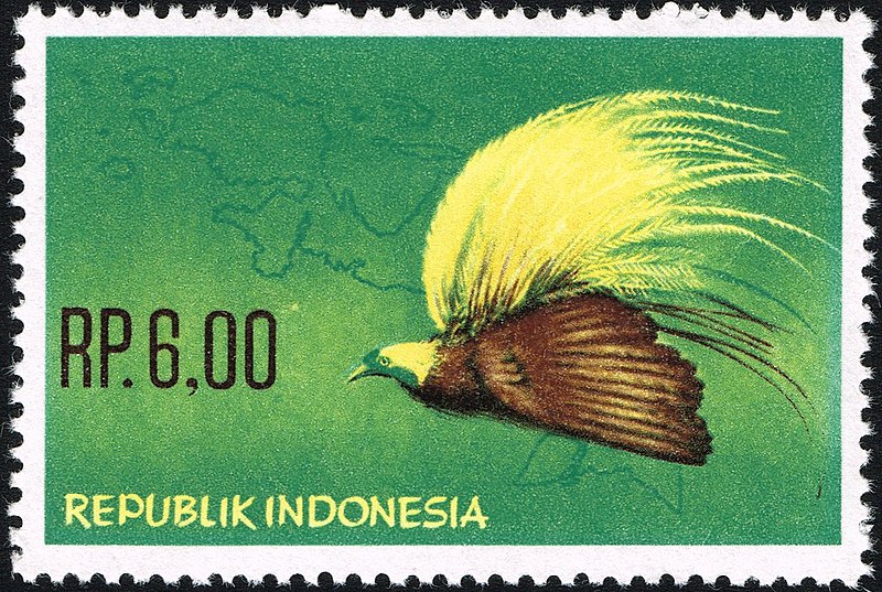 File:Stamp of Indonesia - 1963 - Colnect 260582 - Greater Bird of paradise Paradisaea apoda apoda.jpeg