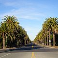 Palm Drive facing Palo Alto