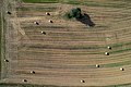 * Nomination Aerial view of the valley of the Reichen Ebrach near Steppach --Ermell 21:35, 28 May 2022 (UTC) * Promotion  Support Good quality. --Poco a poco 22:39, 28 May 2022 (UTC)