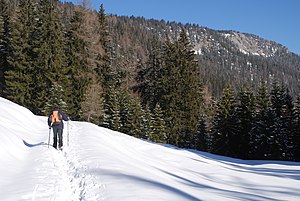 Steyreck Reifmauer Sengsengebirge 20110225.jpg