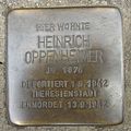 image=File:Stolperstein Michelstadt Braunstraße 22 Heinrich Oppenheimer.jpg