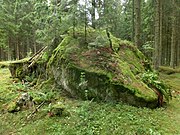 RAÄ-nr Sörby 145 Svenska: Storbuckasten, Bäckagårdens mark, Sörby socken, Falköping kommun, Västergötland. 2018-06-22. (6446225, 402910)