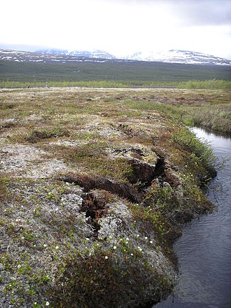 Cracks forming at the edges of the Storflaket permafrost bog in Sweden.