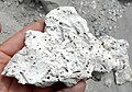 Stromatolites de la Laguna Verde.