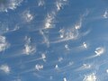 Cirrus uncinus clouds