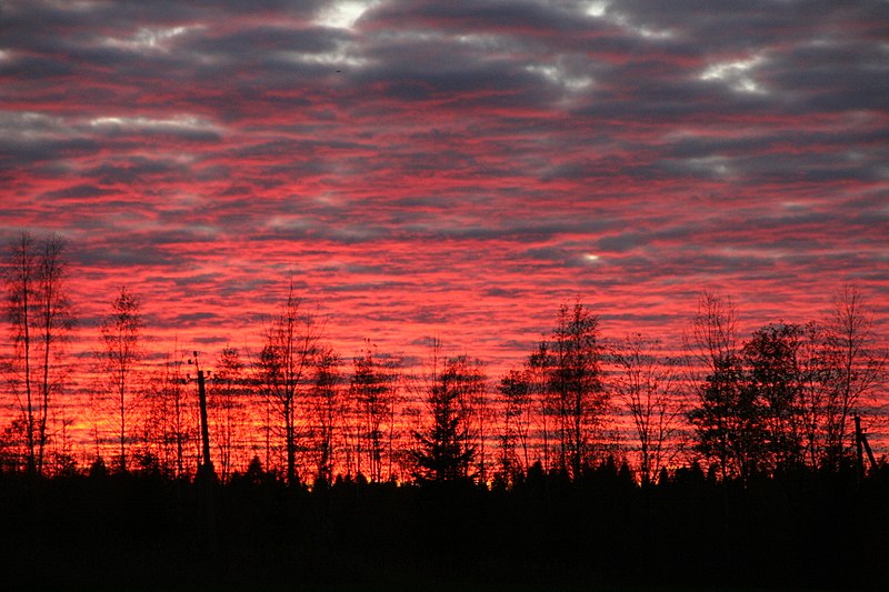 File:Sunset in russia.JPG