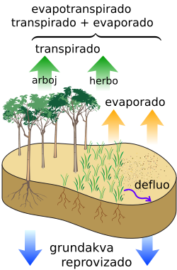 File:Surface water cycle eo.svg