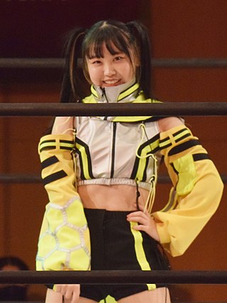 <span class="mw-page-title-main">Suzume (wrestler)</span> Japanese professional wrestler