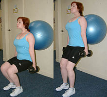 The dumbbell squat is a compound exercise. An exercise ball can be used for support and allow for a wider range of exercises to be performed. They are also known as Swiss balls or stability balls. SwissBallSquat.JPG