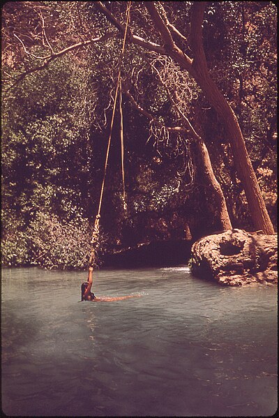 File:THE HAVASU CREEK IS OWNED BY THE NATIONAL PARK SERVICE - THOUGH IT IS ON THE HAVASUPAI INDIAN RESERVATION - NARA - 544336.jpg