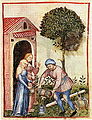 L'uso nella farmacopea medioevale dell'olio d'oliva (da Tacuinum Sanitatis)