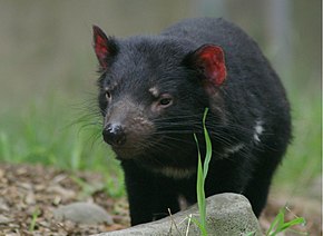 Popis tohoto obrázku, také komentován níže