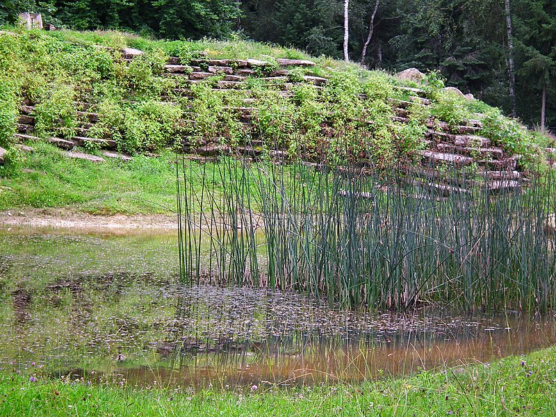 File:Teich im Mufflongehege Wildpark Klein-Auheim Juni 2012.JPG