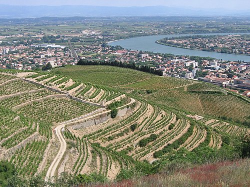 Rideau métallique Tain-l'Hermitage (26600)