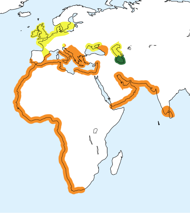 Distribución:      Cría     Anual     Inverno