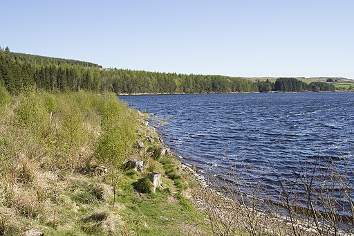 The Alemoor Reservoir - geograph.org.uk - 5377721