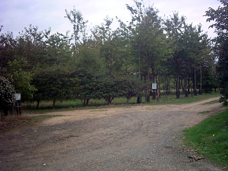 File:The Greenwood Burial Ground - geograph.org.uk - 249871.jpg