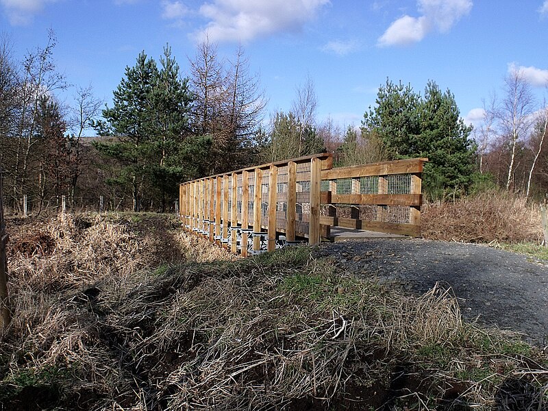 File:The Kelvin's newest bridge - geograph.org.uk - 1705505.jpg