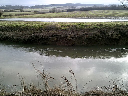 The River Evenlode and a pool in a field - geograph.org.uk - 3302401