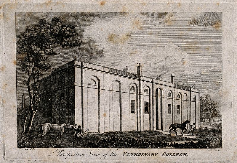 File:The Veterinary College, Royal College Street, London; the fa Wellcome V0013655.jpg