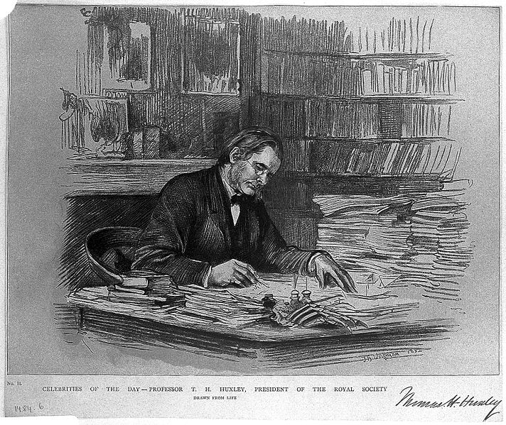 File:Thomas Henry Huxley. Reproduction of drawing by T. B. Wirgma Wellcome L0012708.jpg