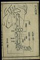 Three foot yin channels and their acupoints, general chart Wellcome L0037867.jpg