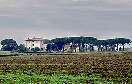 Tour du piège Grosseto.jpg