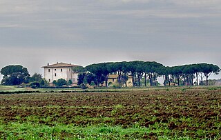 Principina a Mare Frazione in Tuscany, Italy