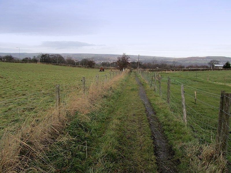 File:Track leading to North Bank Road - geograph.org.uk - 3772867.jpg