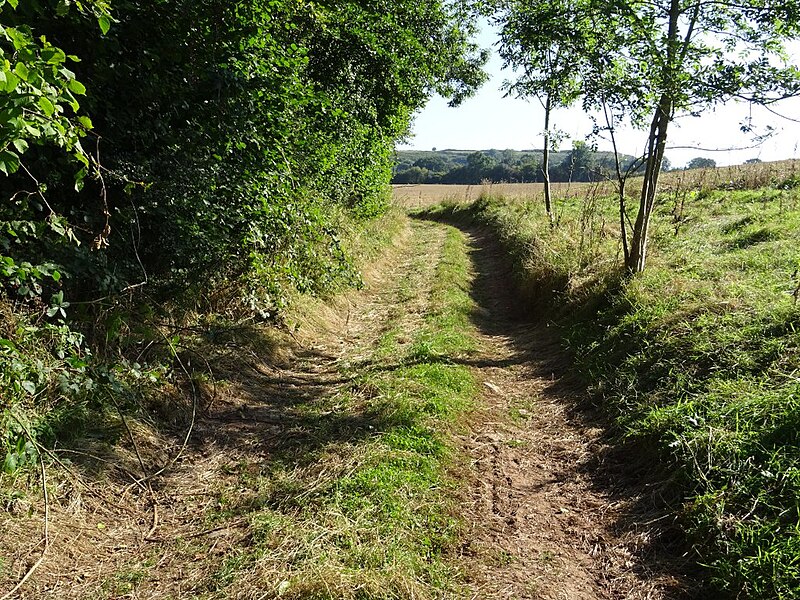 File:Track to farmland - geograph.org.uk - 6278179.jpg