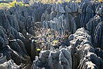 Vignette pour Réserve naturelle intégrale du Tsingy de Bemaraha