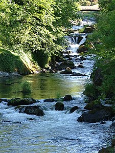 Chutes de Tumwater.jpg