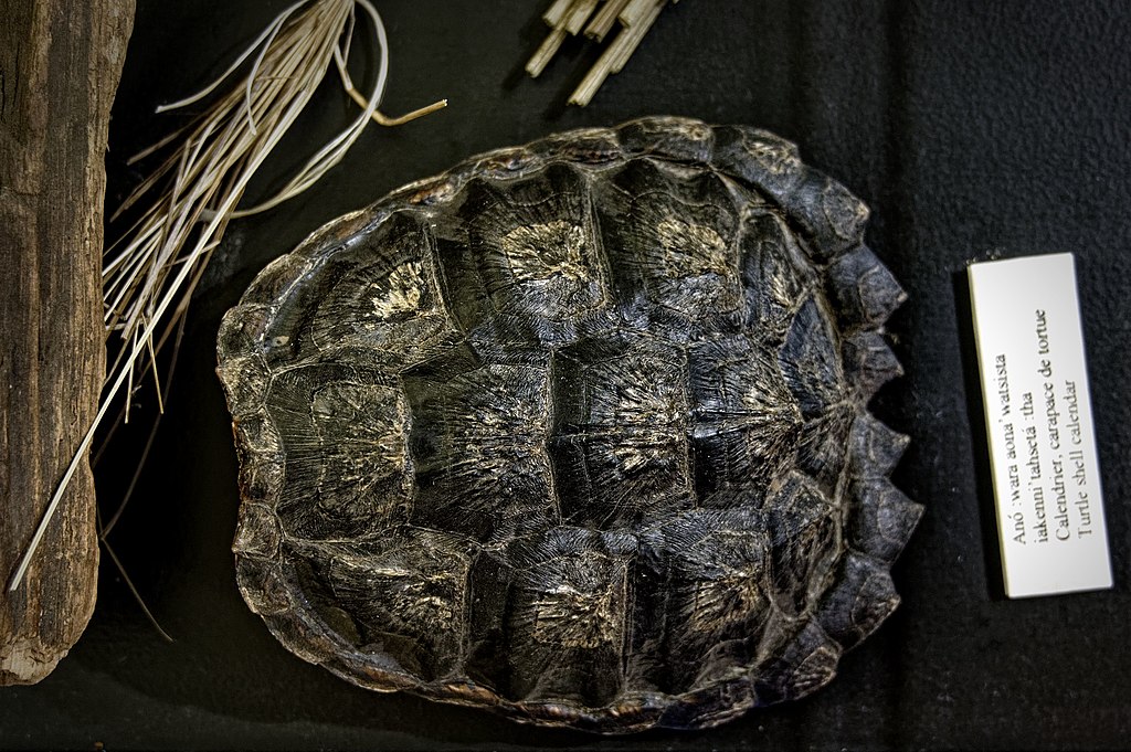 File:Turtle shell calendar.jpg - Wikimedia Commons