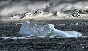Two Adelie penguins on an iceberg (9488491359).jpg