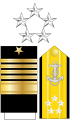 Fleet admiral collar device, sleeve stripes and shoulder board