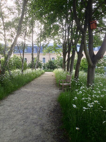 File:Un passage au Jardin des Etangs Gobert, l'été.jpg