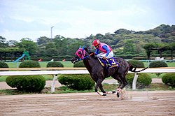 佐賀 競馬