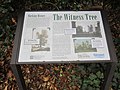 Sign for the Witness Tree