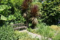 Ventnor Botanic Garden, Ventnor, Isle of Wight, seen in August 2011.