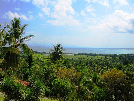 View of Haitian Landscape hispaniola