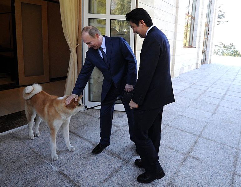 File:Vladimir Putin and Shinzo Abe 2014.jpeg