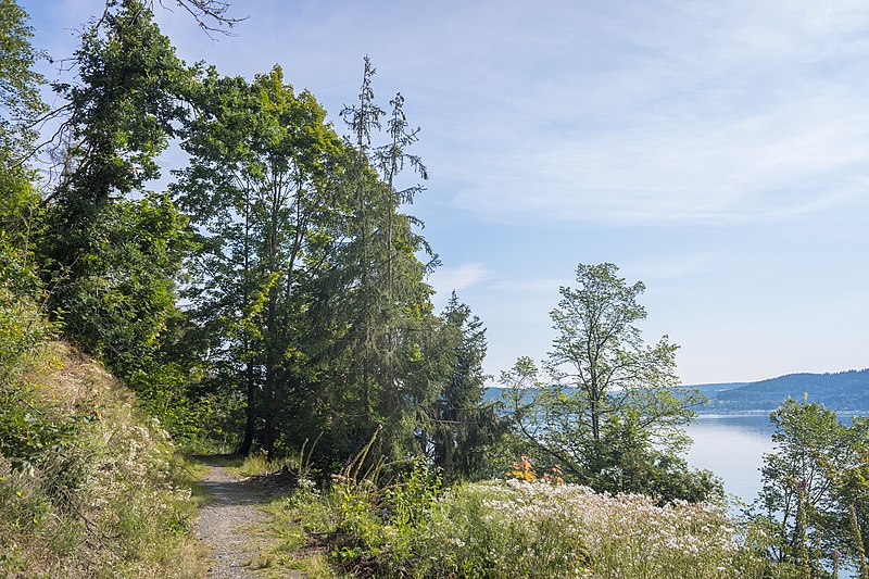 File:Wanderweg am Westufer der Bleichlochtalsperre 17.jpg