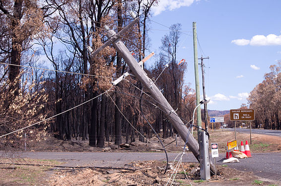 damaged by bushfire