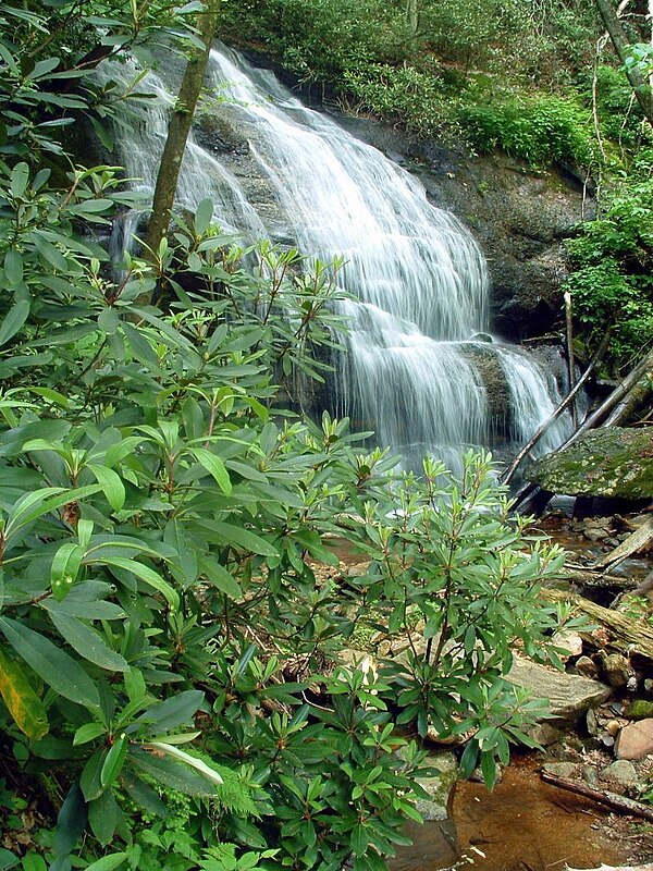 Waterfall on West Prong Hickey Fork Creek